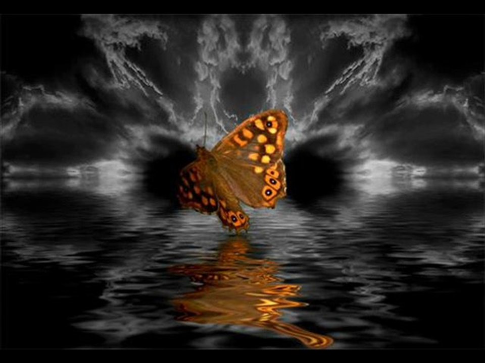 No One - Dj. Muzetti (Rmx)