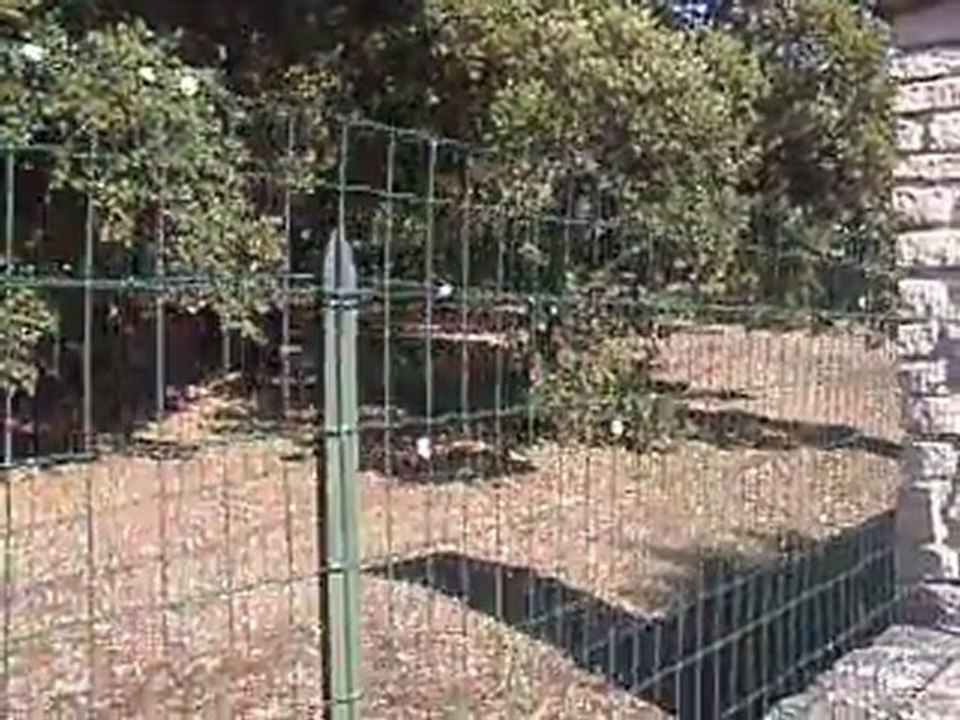 aux alentours de chez Thierry et Christine 1