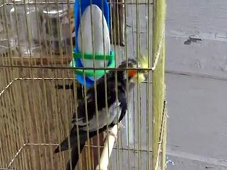 Sam