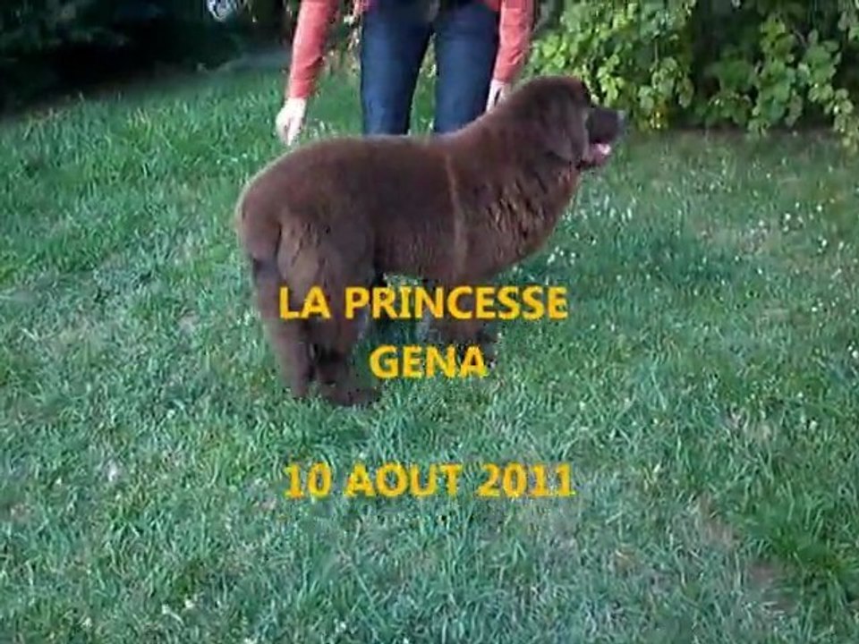 GENA S'ENTRAINE POUR LES EXPOS !!!!