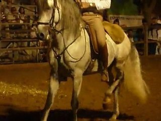 Danse avec ton cheval...