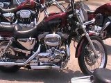 2001 Harley Davidson 1200 Custom Asheville NC