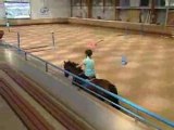 mon 5 eme jour de stage d'équitation !!