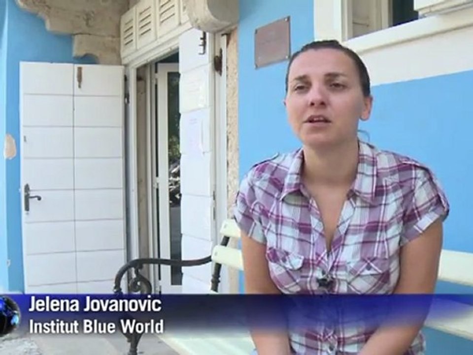 Arabic-web-Croatie: à la rencontre des dauphins de l'Adriatique