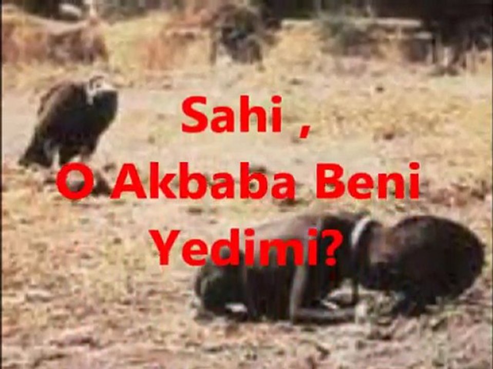 RAFET EL ROMAN BİR MELEK DİLİYORUM  ERDAL KARADAĞ