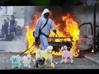 Looters vs Photoshop (the video)