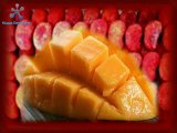 Dulces promocionales- publicidad en dulce- dulces publicitarios