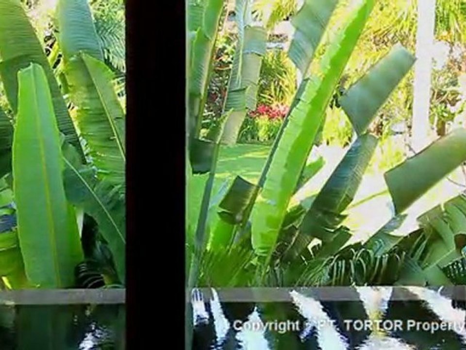 Bali villas Seminyak rental Damou 1 bedroom loft