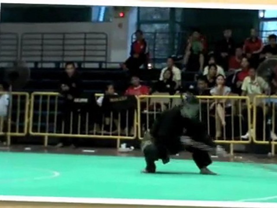 PENCAK SILAT VIETNAM JURUS TOYA