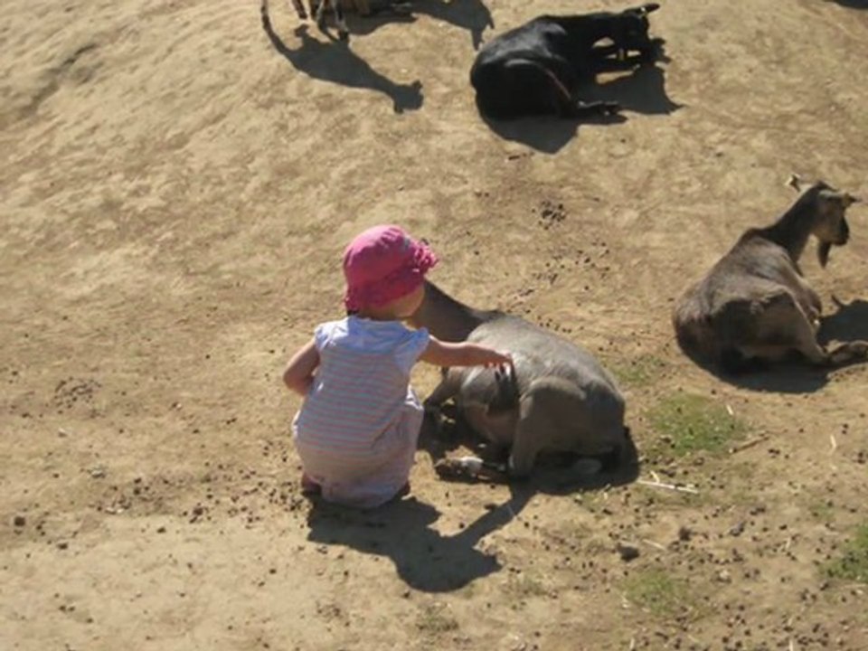 balade au zoo de Peaugres en Ardéche