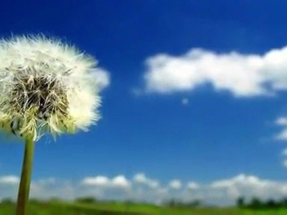 虛空之風  The Wind of Emptiness - 十七世大寶法王《願望之歌》專輯