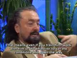 Even if you set all the conditions required to make someone Hazrat Mahdi (pbuh) artificially; only t