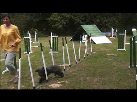 Estas 20 mois Agility 2 août 2011