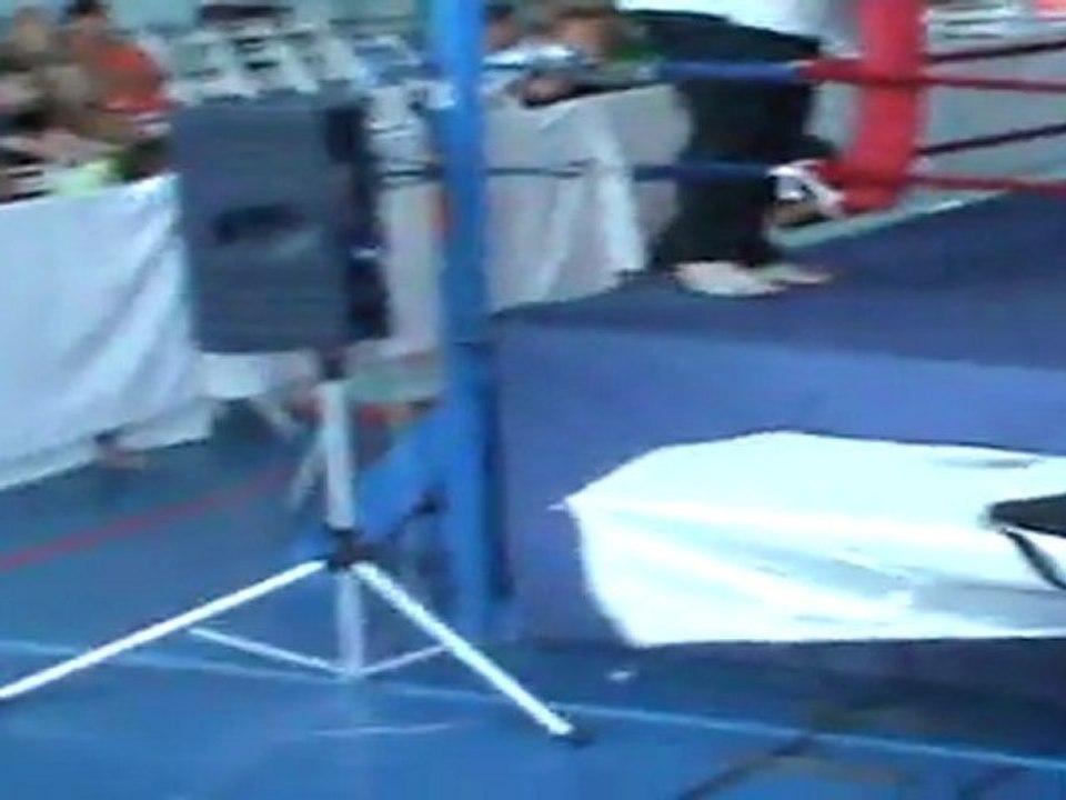 Didier Mougin vs Gaetan Damiano round 3 - Gala du Phenix 3 - 02-07-11 - phenix muaythai