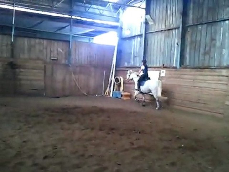 poney 1