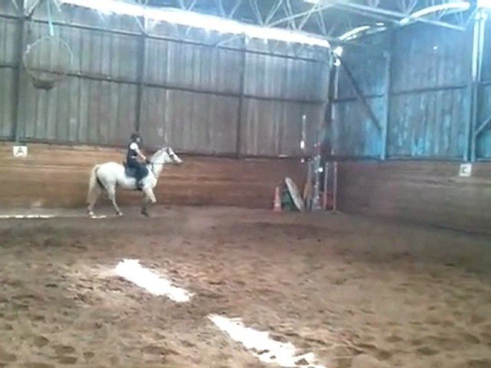 poney 2
