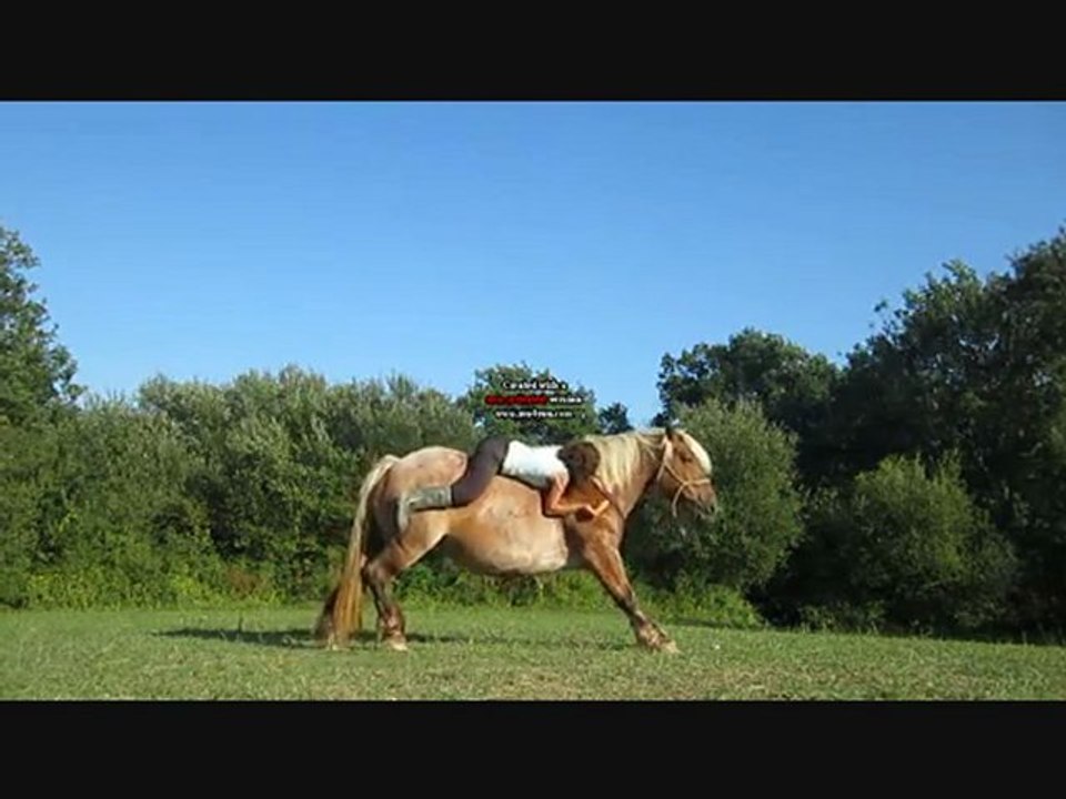 Quand les rêves deviennent réalité