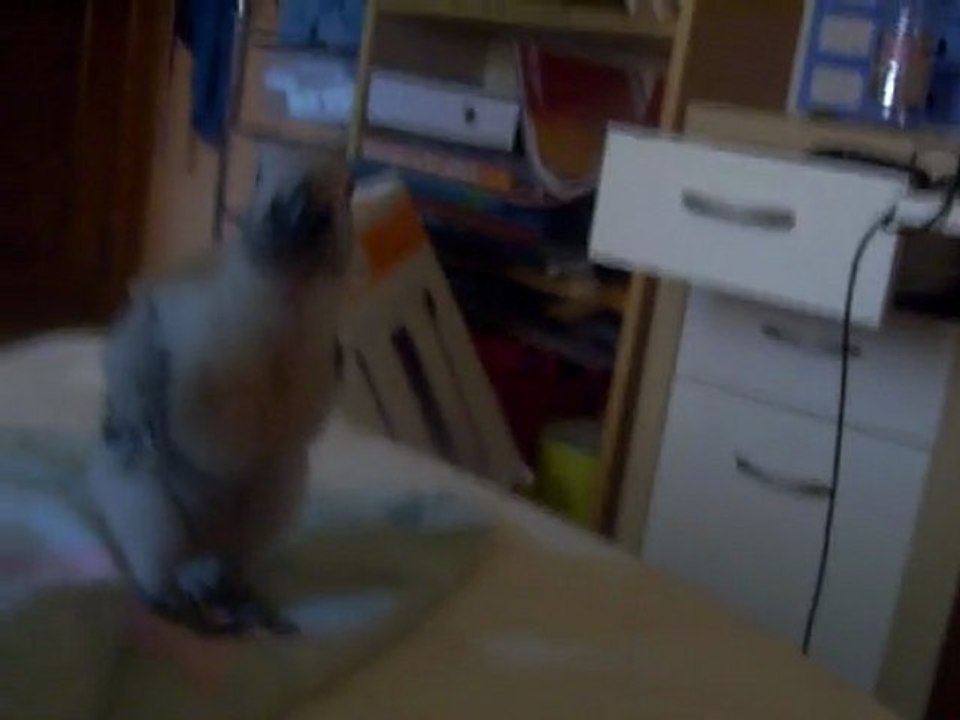 grisou - le 12/08/11 - 43 jours