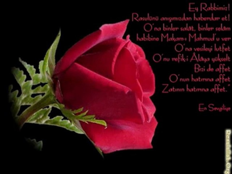 murat Durgun -SALAVATI ŞERİFE (2011)