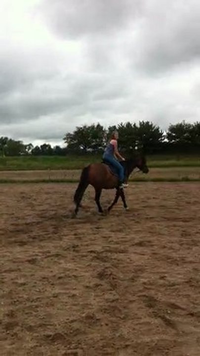 saut