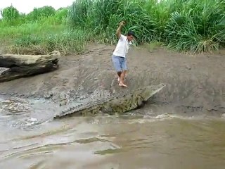 Playing Chicken with a Crocodile