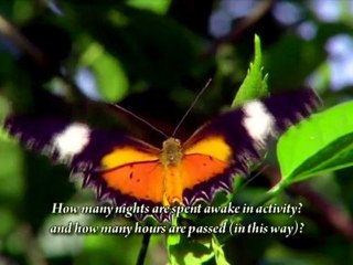 The Goodly Life - Sheikh Muhammad Mukhtar Ash-Shinqitee