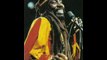 Bunny Wailer-Rockers-Live-11.19.95