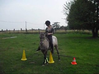 Séance du 28 juillet 2011 - Manibilité