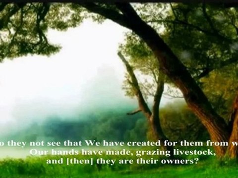 Cheikh Maher Al Mueaqly - Surat Ya-sin (Ya Sin) [55-83]