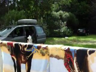 Voyage de CotCot Lydie et ses amisActe3