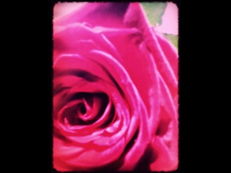 Kimi Happy Birthday !