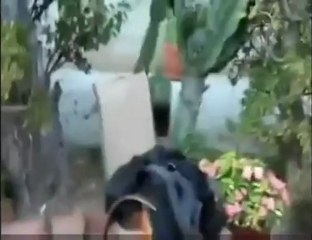 Chica muere por culpa de broma de camara oculta   13pigs