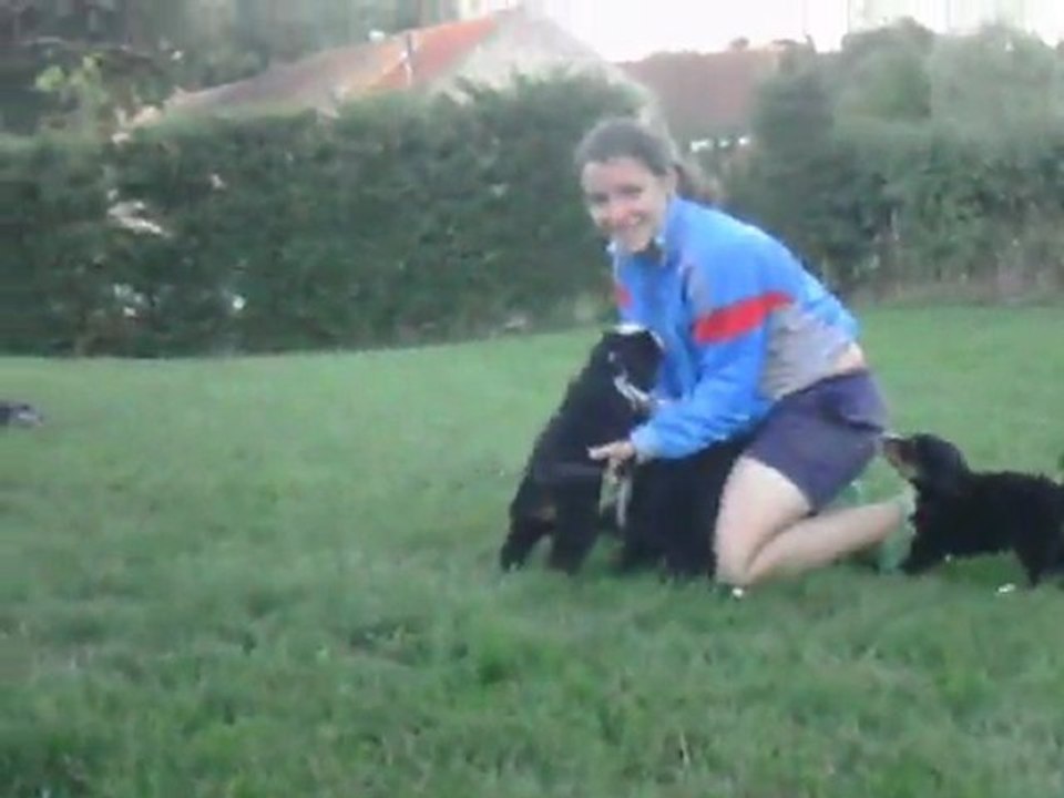 musigny