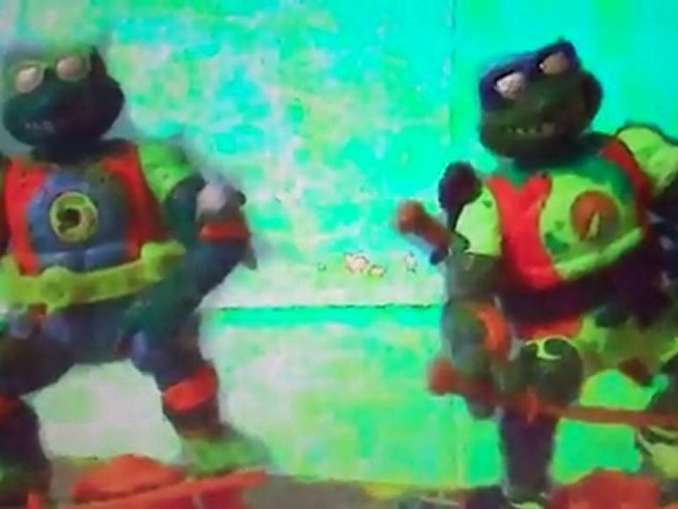 Ninja Turtles go to Hawaii