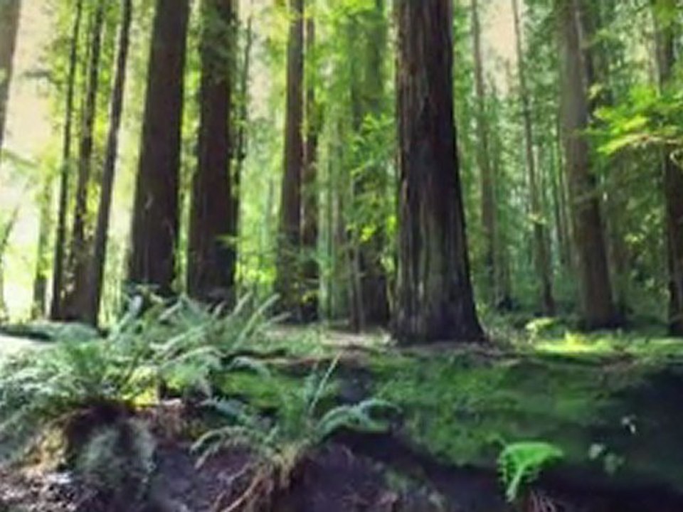 Turgay Bakan - Hemen Gitme [ Şiir : Kahraman Tazeoğlu ]