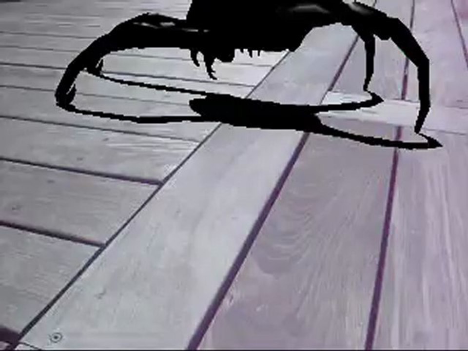 BLACK-HEADCRAB