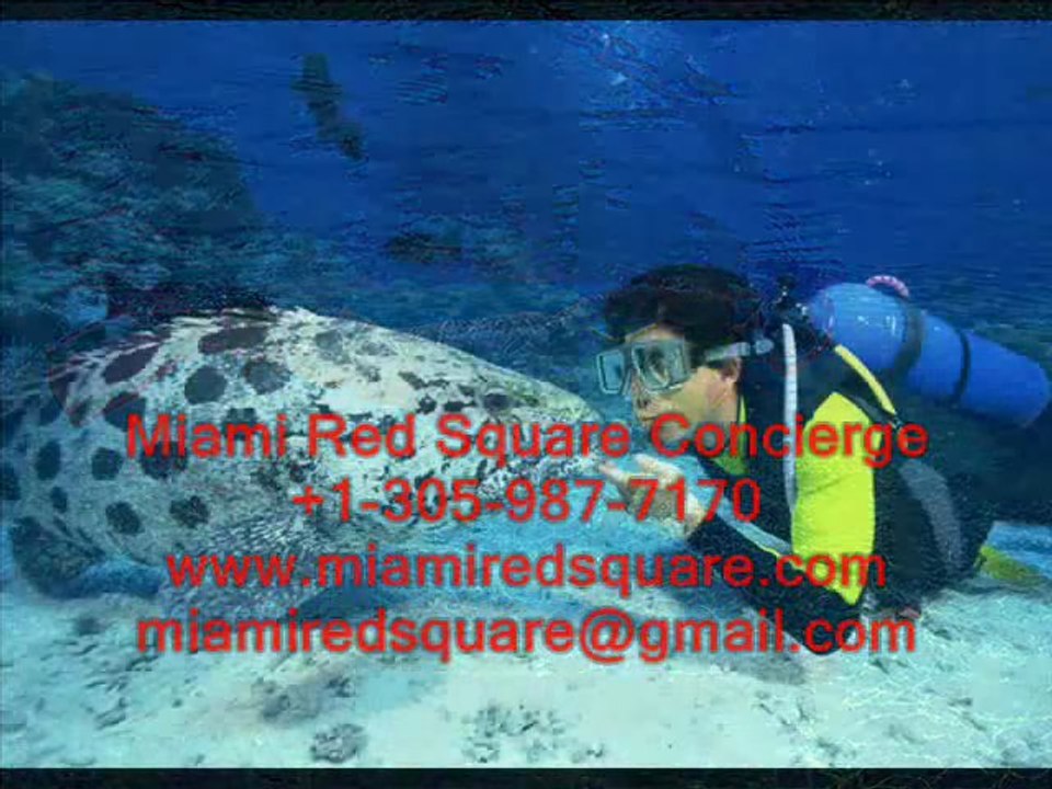 ЭЛИТНЫЙ ОТДЫХ В МАЙАМИ - ГОЛЬФ, ТЕННИС, ДАЙВИНГ.