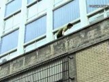 London Behind The Scenes  - Daniel Ilabaca Parkour Tour