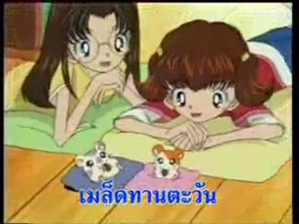 แฮมทาโร่เปิดไทย (Hamtaro Thai Opening)