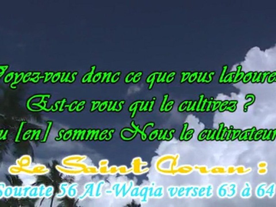 Allah's Creation (La Création d'Allah) Ep 8