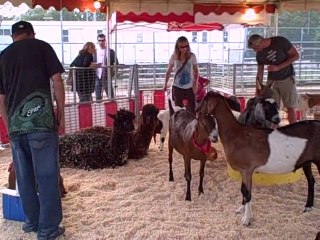 Petting Zoo Fun in California by Freckle Farm
