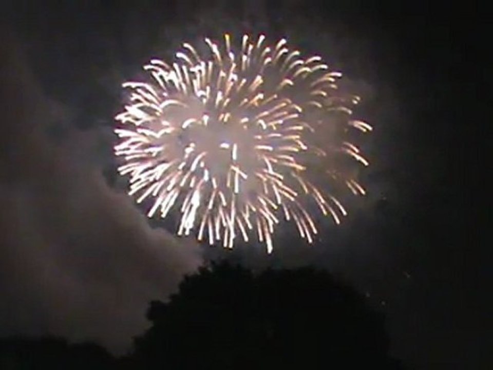 立川まつり国営昭和記念公園花火大会　2010　3