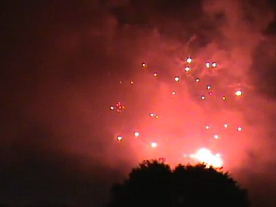 立川まつり国営昭和記念公園花火大会　2010　4