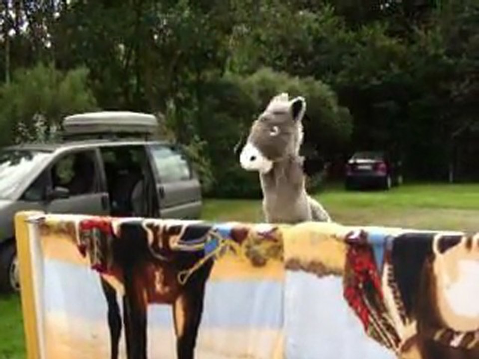 Le Voyage de CotCot Lydie et ses amis- L'Ane Martin, présentation