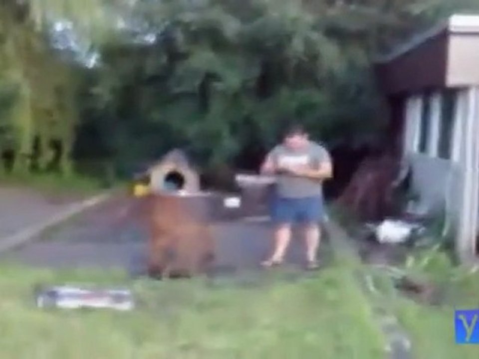 Polish Fail Compilation 2011