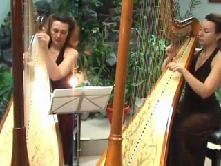 Арфистка, дуэт арф Espressivo - Feelings (harp cover)