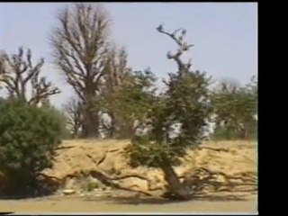 Daniel et Pilou au Sénégal (2ème partie)