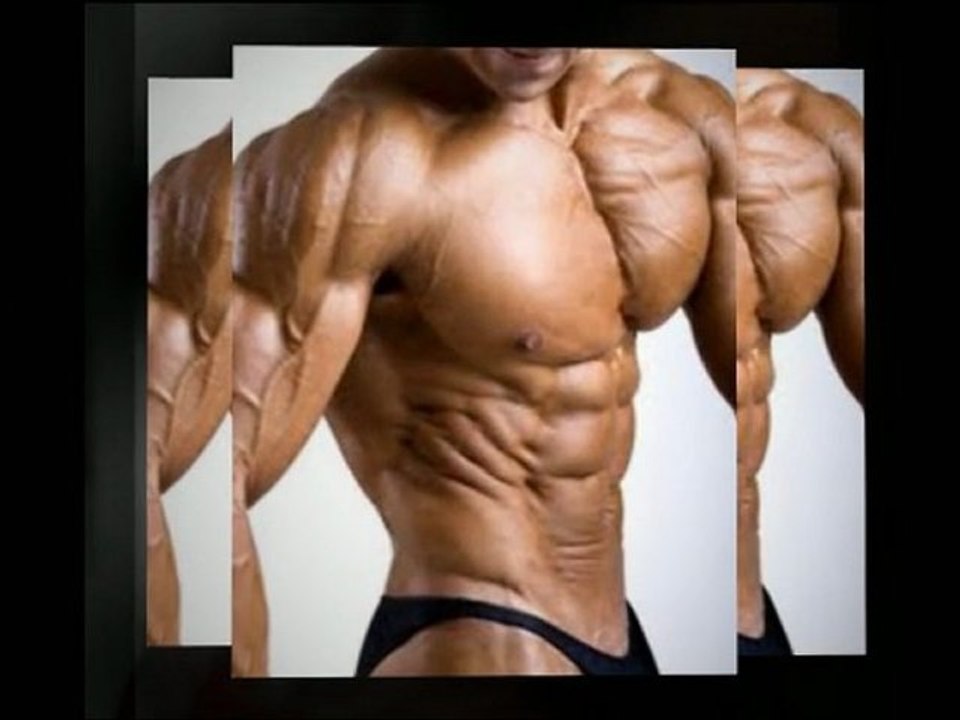 exercices pectoraux avec halteres