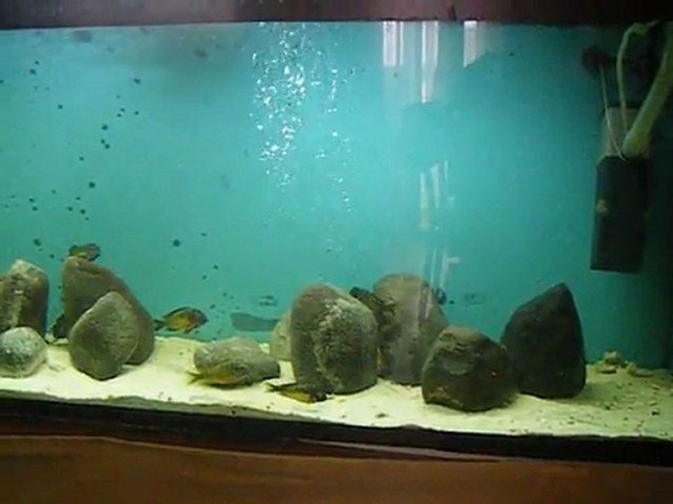 DSCF4138