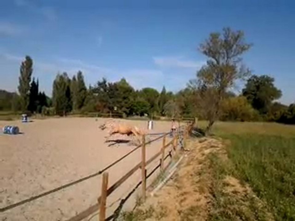 Junior sur un petit obstacle